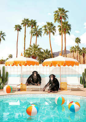   Chimp Party by Paul Fuentes