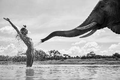   Elephant Shower by Paul Giggle
