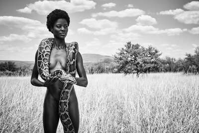   Snake in the Grass de Paul Giggle