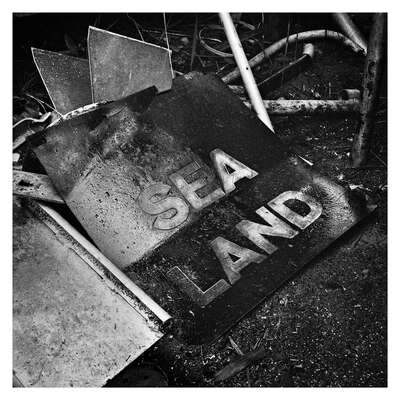   Sea/Land by Patrick J. Adams