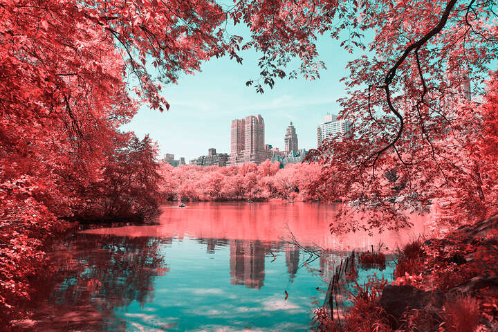   Infrared NYC I by Paolo Pettigiani