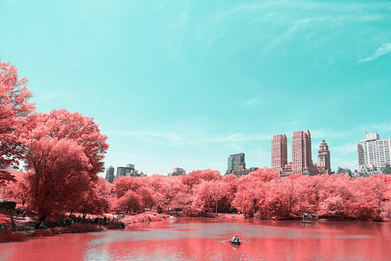Infrared NYC IV