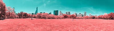  Panorama Stadt: Infrared NYC VI von Paolo Pettigiani