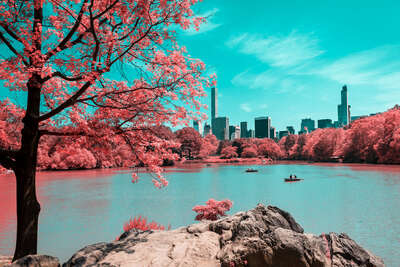  Colorful Wall Art: Color Diversity: Infrared NYC VIII by Paolo Pettigiani