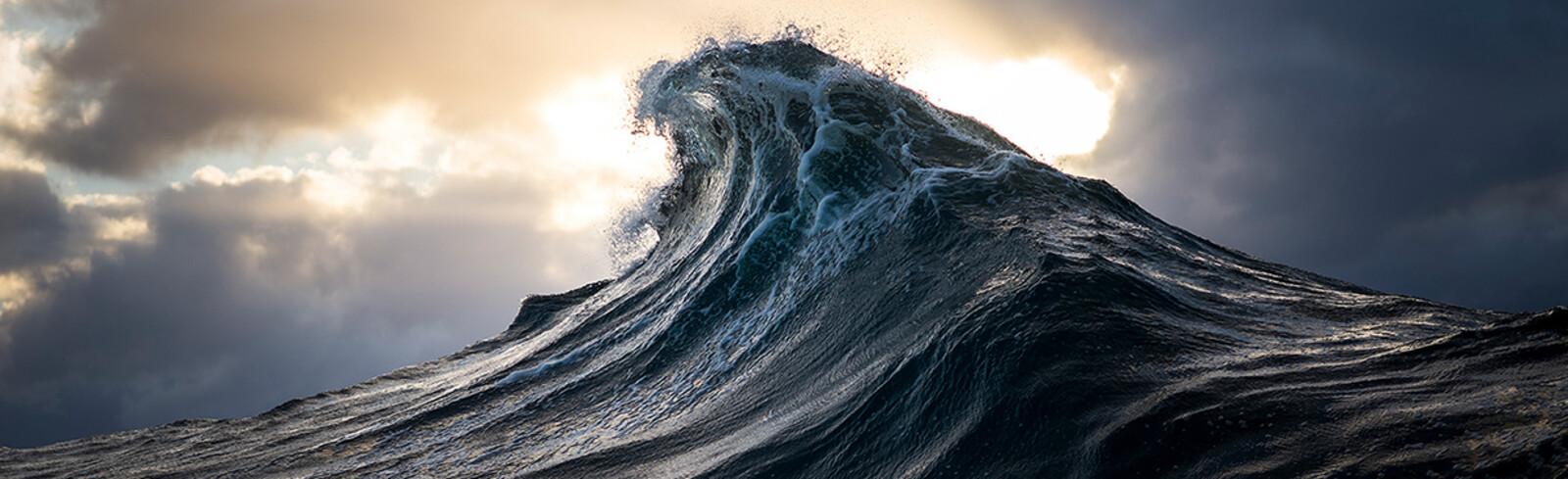 Ray Collins - Pictures, Art, Photography