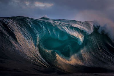   Oil by Ray Collins
