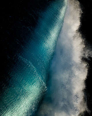   Vector by Ray Collins