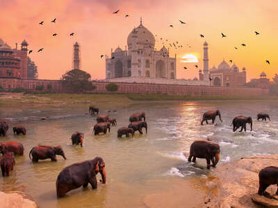  Abstract City Art: Taj Mahal Elephants by Robert Jahns