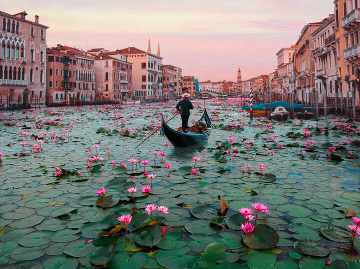 Venice Lotus Flowers von Robert Jahns