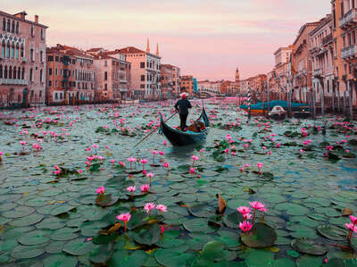   Venice Lotus Flowers by Robert Jahns