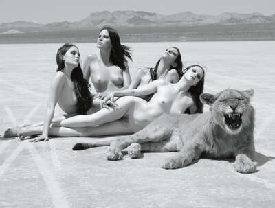  Berühmte Fotografen Big Cat by Sylvie Blum