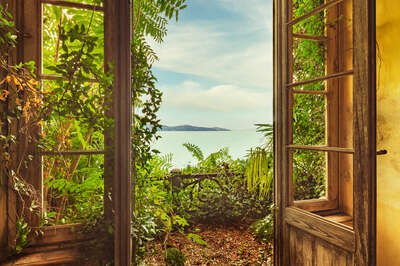   Wandbild Fenster mit Ausblick: Secret Garden 3 von Sven Fennema