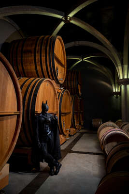   The Wine Cellar I by Sebastian Magnani
