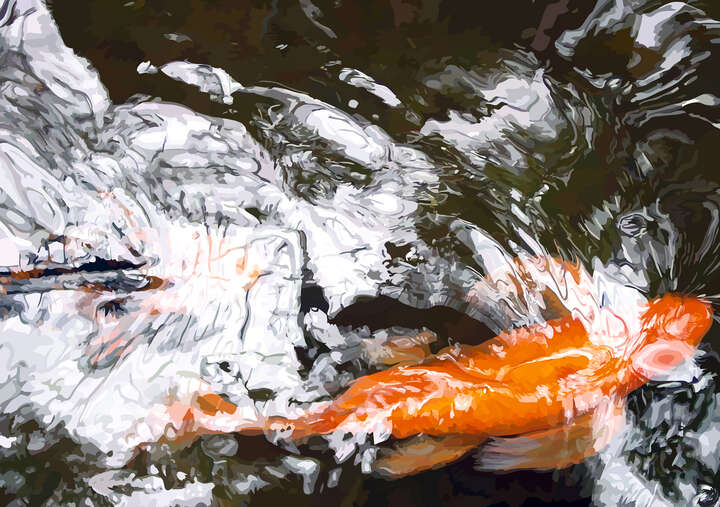 Goldfisch I von Susanne Wehr