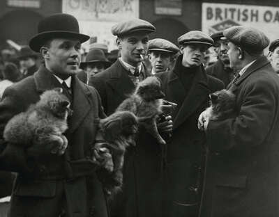  Fotografie Geschichte: Hundemarkt in London von Martin Munkacsi