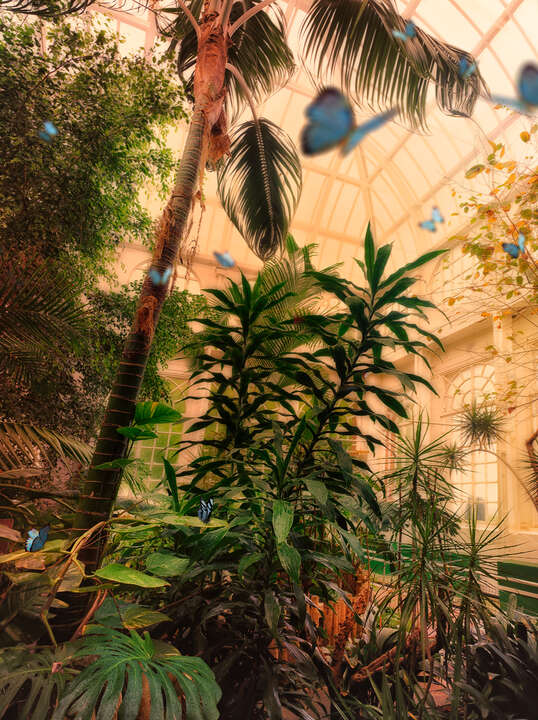 Butterfly House, Lancaster I by Werner Pawlok