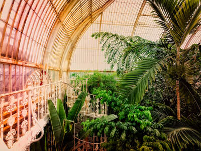   Kew Gardens II by Werner Pawlok