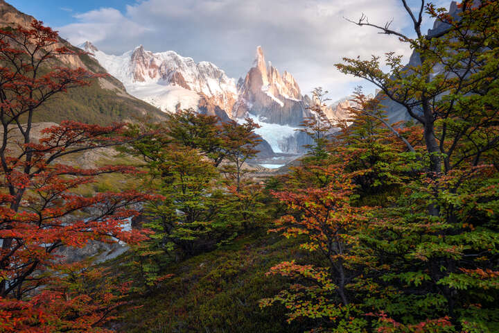   The Vision von William Patino