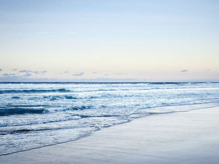   Amoreira by Wolfgang Uhlig